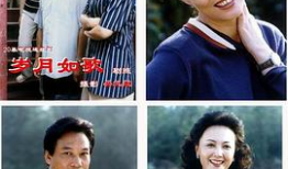90年代电视剧大全,90年代电视剧大全回顾