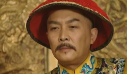 雍正 电视剧,权谋与情感交织的宫廷风云